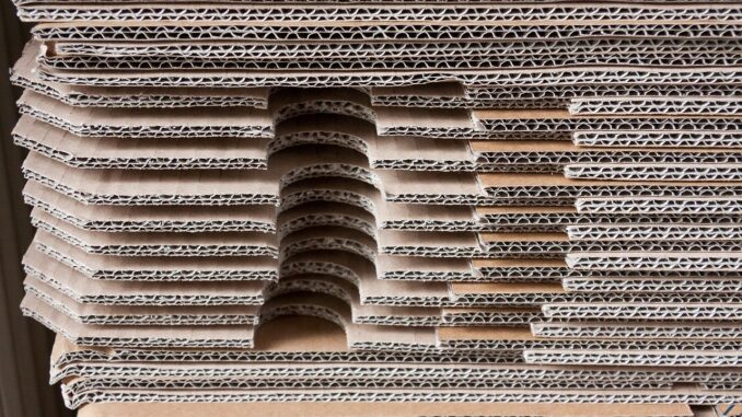 découvrez l'univers de l'emballage alimentaire : solutions innovantes, durabilité et sécurité pour préserver la fraîcheur de vos aliments tout en respectant l'environnement.