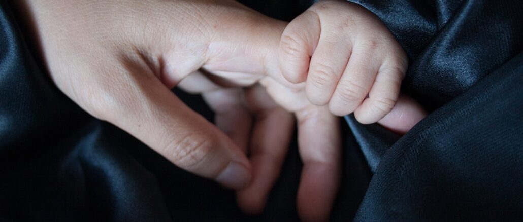 découvrez nos conseils essentiels pour le soin des chiens-loups, incluant l'alimentation, l'exercice, l'éducation et la socialisation pour assurer le bien-être et la santé de votre compagnon à quatre pattes.