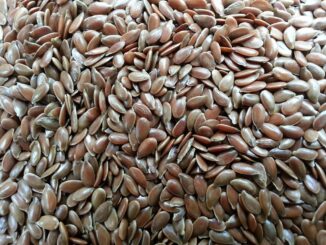 découvrez les nombreux bienfaits des oméga 3 pour la santé : amélioration de la fonction cognitive, réduction des risques cardiovasculaires, et soutien à la santé articulaire. apprenez comment intégrer ces acides gras essentiels dans votre alimentation pour en tirer tous les avantages.