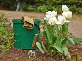 découvrez l'art des paysagistes : transformez votre extérieur en un havre de paix. profitez de conseils d'experts pour aménager votre jardin, choisir les meilleures plantes et créer des espaces verts harmonieux. laissez libre cours à votre créativité avec les paysagistes professionnels.