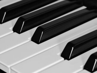 découvrez notre sélection exclusive de pianos, alliant qualité sonore et design élégant. que vous soyez débutant ou musicien confirmé, trouvez l'instrument idéal pour exprimer votre passion musicale.