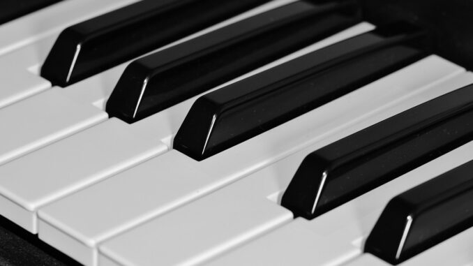 découvrez notre sélection exclusive de pianos, alliant qualité sonore et design élégant. que vous soyez débutant ou musicien confirmé, trouvez l'instrument idéal pour exprimer votre passion musicale.