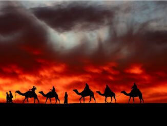 découvrez notre article sur les caravanes, où nous explorons leur histoire, les différents types disponibles, des conseils d'achat et des astuces pour des voyages inoubliables. parfait pour les passionnés de road trip et d'aventures en plein air !