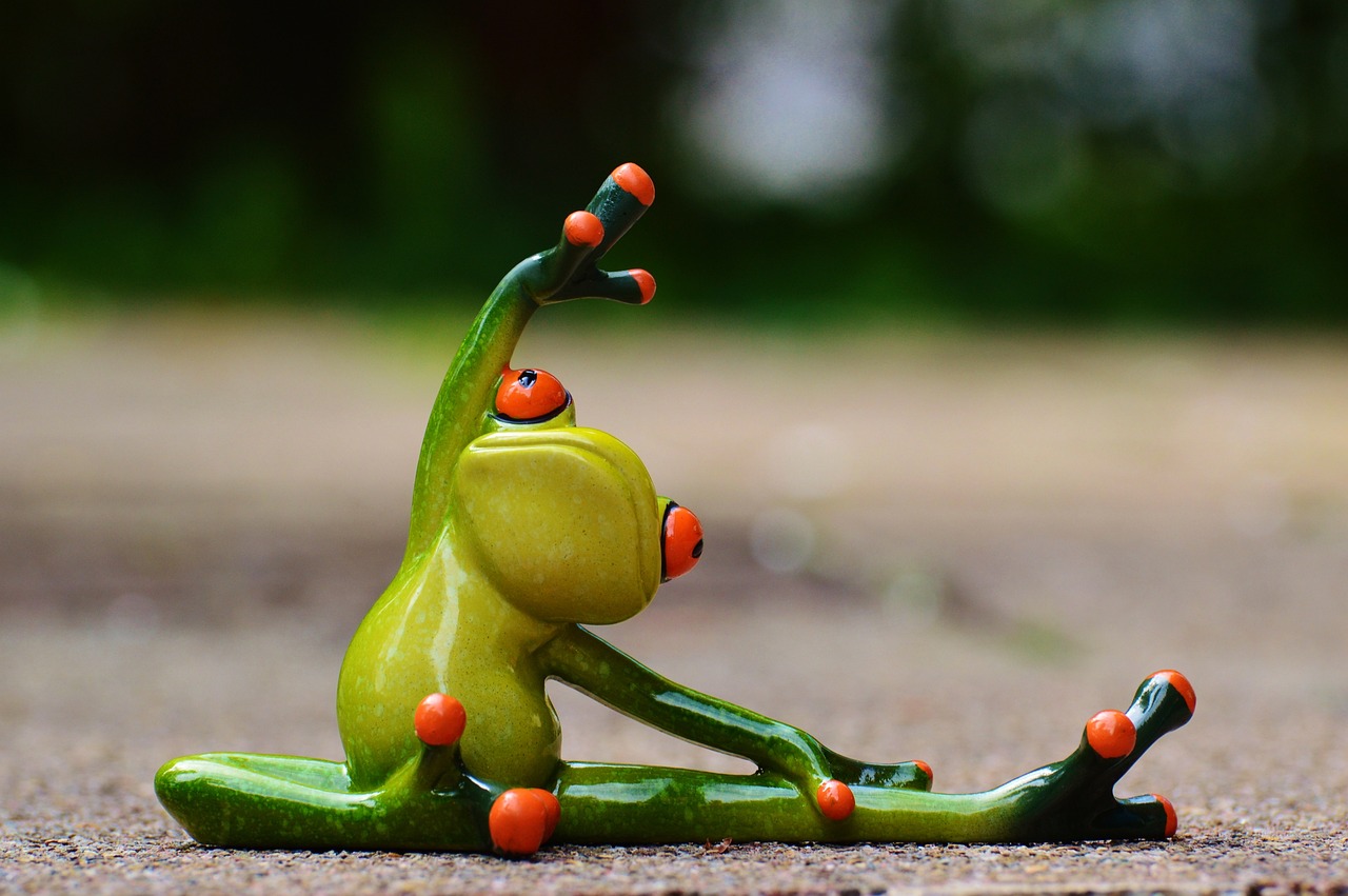 découvrez des programmes d'entraînement personnalisés adaptés à vos besoins et objectifs. transformez votre forme physique grâce à un accompagnement sur mesure qui vous motive et vous guide vers le succès sportif.