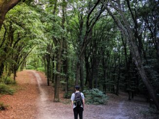 homme debout au milieu des bois qui doit orienter nos choix