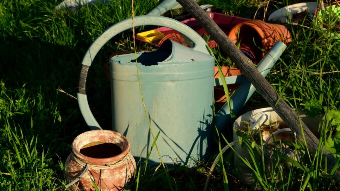 La passion pour le jardinage afin d'embellire votre extérieur Passionnés du Jardin et de Son Aménagement : Conseils et Idées pour un Espace Vert Sublime