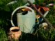 Passionnés du Jardin et de Son Aménagement : Conseils et Idées pour un Espace Vert Sublime