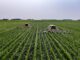 Agriculture et Nouvelles Technologies : L’Innovation au Service de la Production Agricole