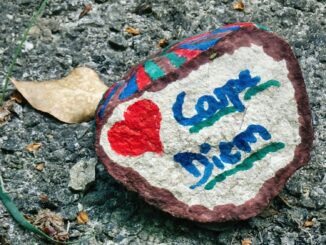 Bien-être et Carpe Diem : L’art de vivre pleinement le moment présent