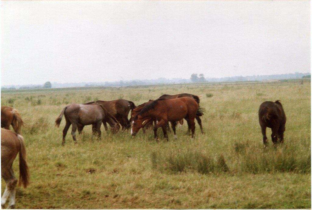 Un endroit idéal pour observer les oiseaux et la nature