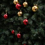 Actualité : comprendre l’information pour mieux décrypter le monde