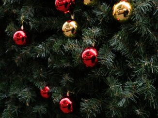 Actualité : comprendre l’information pour mieux décrypter le monde