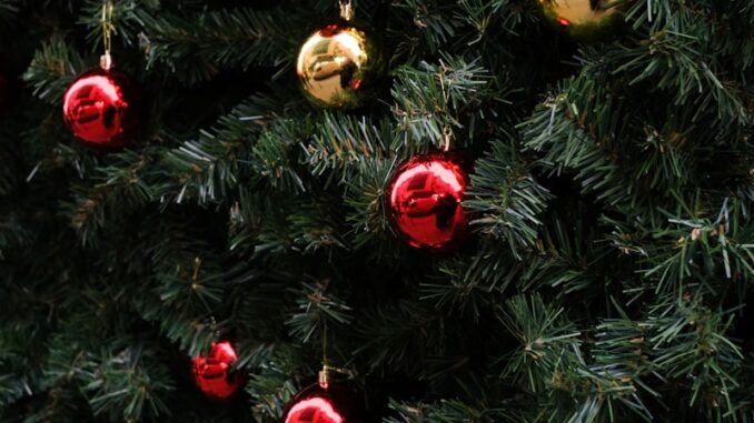 Actualité : comprendre l’information pour mieux décrypter le monde