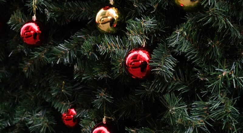 Actualité : comprendre l’information pour mieux décrypter le monde