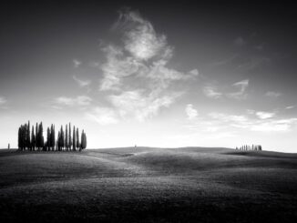 découvrez les croisières en catamaran en crète pour explorer ses côtes magnifiques, ses eaux turquoise et ses paysages idylliques en toute détente.