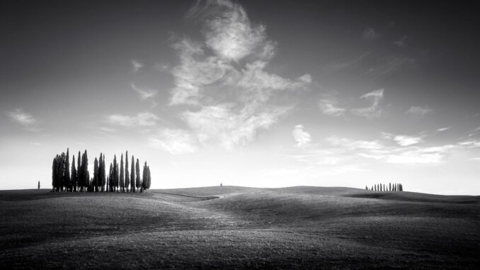 découvrez les croisières en catamaran en crète pour explorer ses côtes magnifiques, ses eaux turquoise et ses paysages idylliques en toute détente.