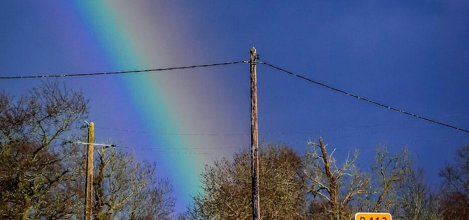 Bons plans pour la communauté Isigny-Grandcamp-Intercom